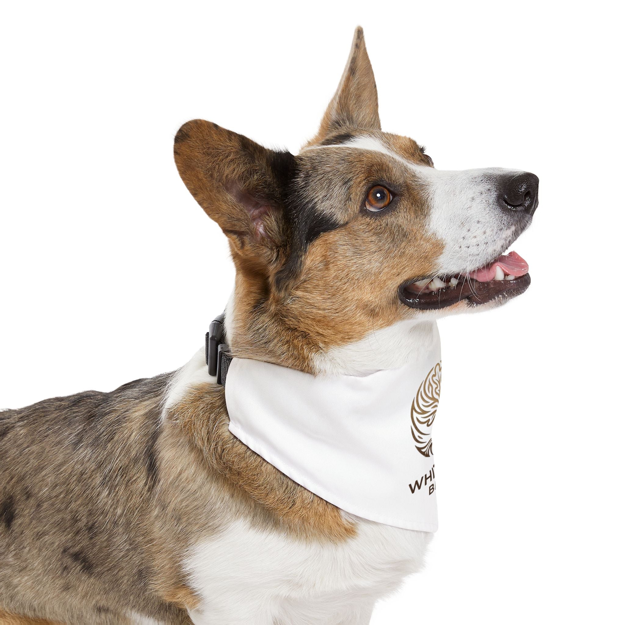 White Oak Logo Pet Bandana Collar – Branded Dog & Cat Accessory