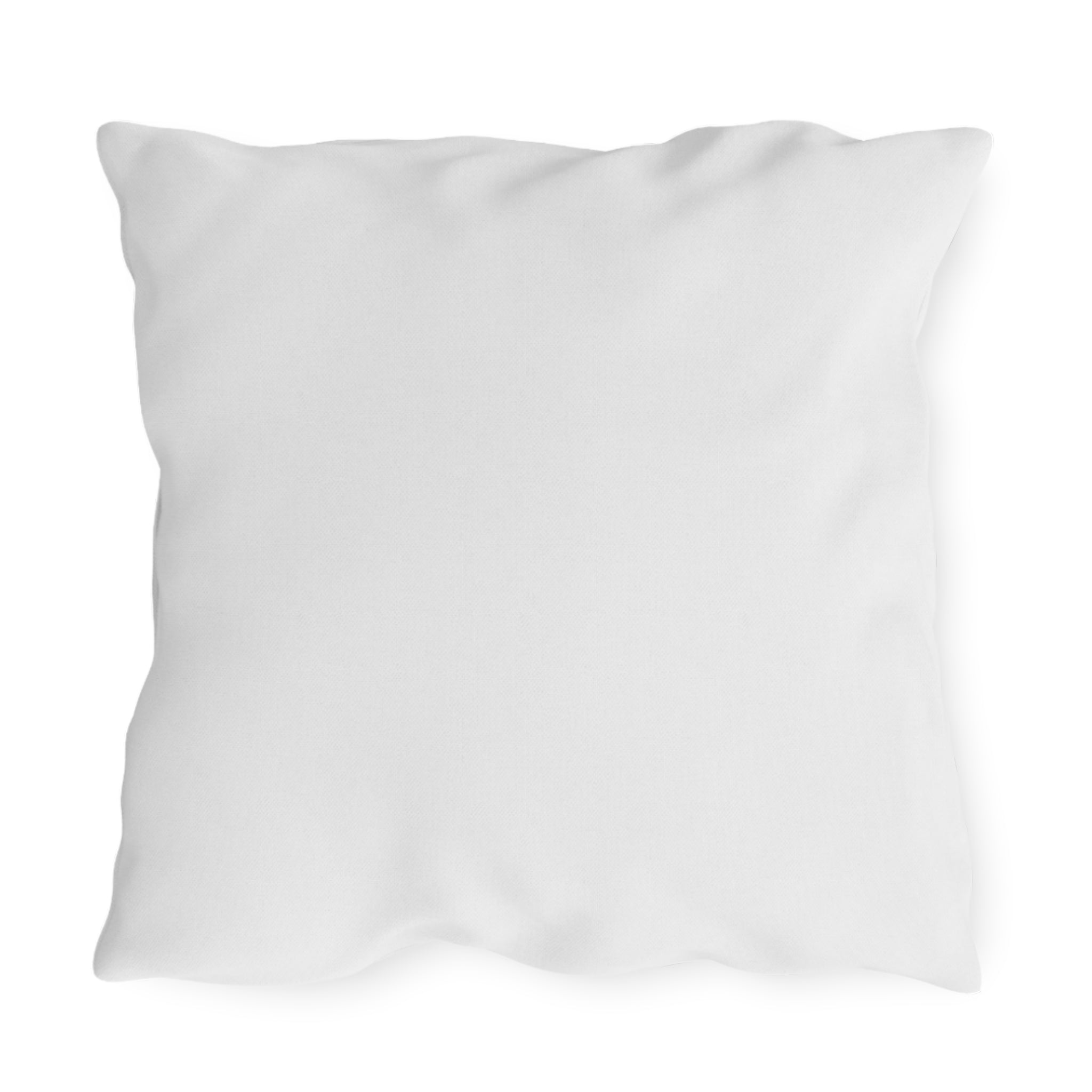 Higher Than Fame Outdoor Pillow — Bear on Money Graphic with "No Sleep Club"